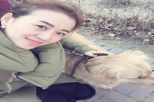 历史的拐点汉匈之战在线观看